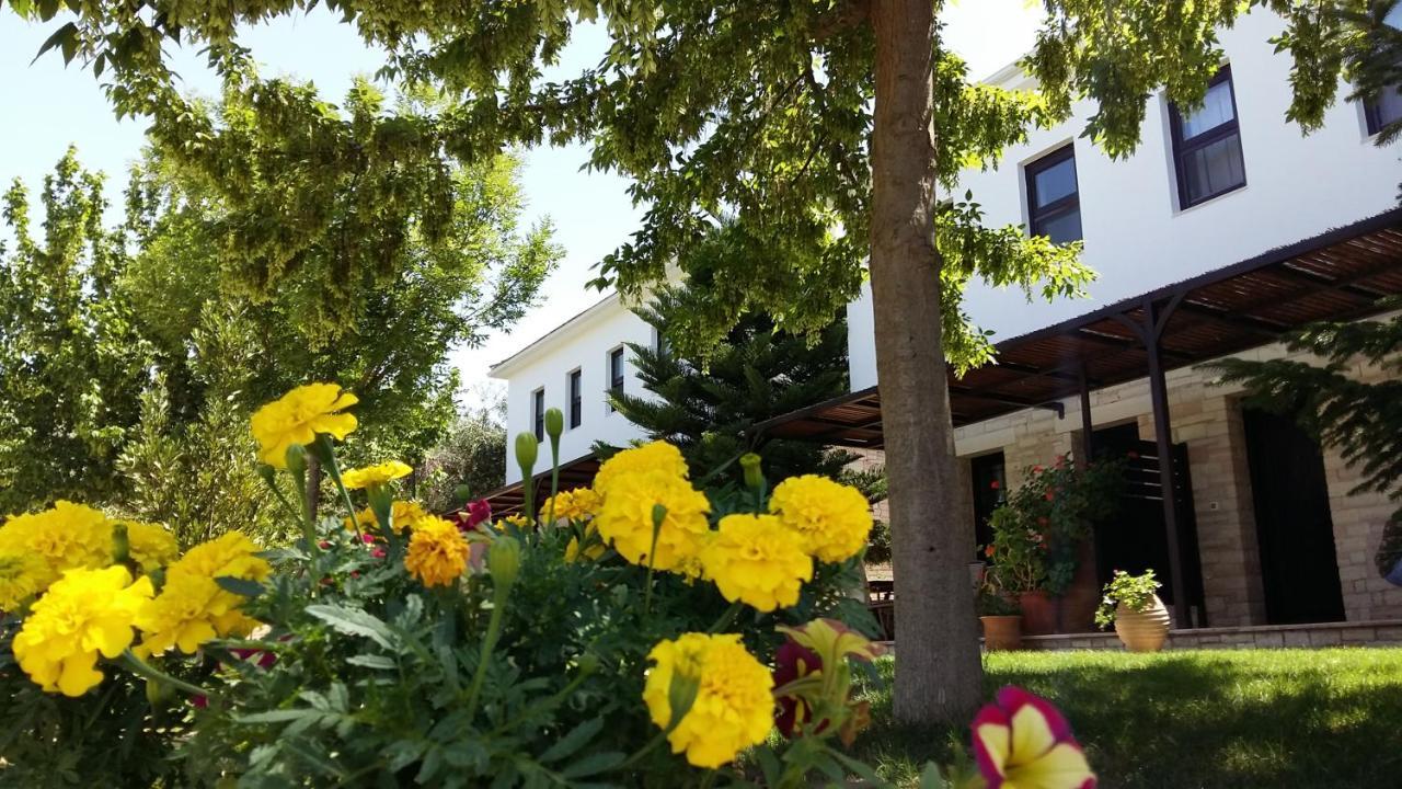 Sivota Apartments Athina Ngoại thất bức ảnh