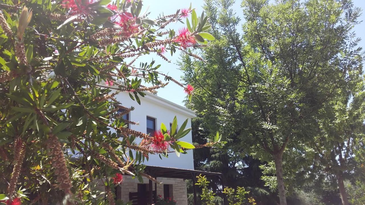 Sivota Apartments Athina Ngoại thất bức ảnh